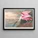 Rose-spatula painting - John James Audubon — framed artwork on a wall