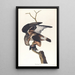 Faucon à pattes rugueuses - John James Audubon — framed artwork on a wall