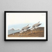 Red Plover - John James Audubon — framed artwork on a wall