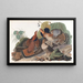 Golden-crowned Kinglet - John James Audubon — framed artwork on a wall