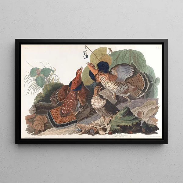 Golden-crowned Kinglet - John James Audubon — framed artwork on a wall