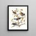 Rusty Grackle - John James Audubon — framed artwork on a wall