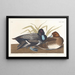 Fuligule milouinan - John James Audubon — framed artwork on a wall