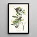 Petit moucherolle à crête verte - John James Audubon — framed artwork on a wall