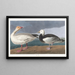 Snow Geese Painting - John James Audubon — framed artwork on a wall