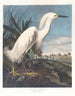 Héron neigeux ou aigrette blanche - John James Audubon — artwork view