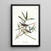 Moucherolle solitaire ou viréo - John James Audubon — framed artwork on a wall