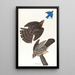 Faucon de Stanley - John James Audubon — framed artwork on a wall