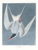 L'hirondelle étourneau - John James Audubon — artwork view