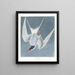 L'hirondelle étourneau - John James Audubon — framed artwork on a wall
