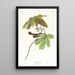 Marsh Bunting - John James Audubon — framed artwork on a wall