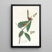 Paruline de Swainson - John James Audubon — framed artwork on a wall