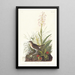 Brown Thrasher - John James Audubon — framed artwork on a wall