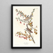Reproduction of the painting Bruant des arbres - John James Audubon