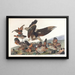 Virginian Partridge - John James Audubon — framed artwork on a wall