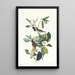 Moucherolle chanteur - John James Audubon — framed artwork on a wall