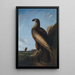 Aigle de mer de Washington - John James Audubon — framed artwork on a wall