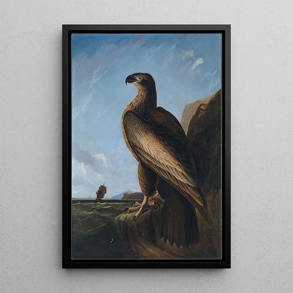 Aigle de mer de Washington - John James Audubon — framed artwork on a wall
