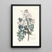 Moucherolle à yeux blancs - John James Audubon — framed artwork on a wall