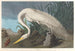 White Heron Painting - John James Audubon — artwork view