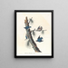Sittelle à poitrine blanche - John James Audubon — framed artwork on a wall