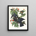 Pigeon à couronne blanche - John James Audubon — framed artwork on a wall