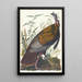 Wild Turkey Painting - John James Audubon — framed artwork on a wall