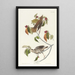 Wood Thrush - John James Audubon — framed artwork on a wall