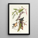 Paruline vermivore - John James Audubon — framed artwork on a wall
