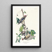 Pic maculé - John James Audubon — framed artwork on a wall