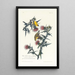Goldfinch or American Goldfinch - John James Audubon — framed artwork on a wall