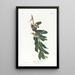 Yellow-throated Warbler - John James Audubon — framed artwork on a wall