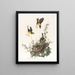 Paruline polyglotte - John James Audubon — framed artwork on a wall