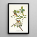 Paruline à poitrine jaune - John James Audubon — framed artwork on a wall