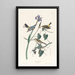 Paruline à couronne jaune - John James Audubon — framed artwork on a wall