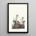 Yellow-winged Bunting - John James Audubon — framed artwork on a wall
