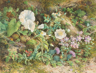 Flower Study Painting - John Jessop Hardwick — artwork view