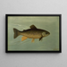 Hybrid trout lake and stream trout painting - John L. Petrie — framed artwork on a wall
