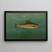 L'Omble de Montana Thymallus signifer montanus - John L. Petrie — framed artwork on a wall