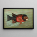 The Sacramento Pike Squawsfish or Ptychocheilus oregonensis with yellow belly - John L. Petrie — framed artwork on a wall