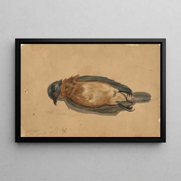 Dead Bird - John La Farge — framed artwork on a wall