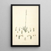 Collectanea botanica Pl30 - John Lindley — framed artwork on a wall