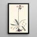 Collectanea botanica Pl32 - John Lindley — framed artwork on a wall