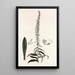 Collectanea botanica Pl35 - John Lindley — framed artwork on a wall