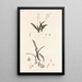 Collectanea botanica Pl39 - John Lindley — framed artwork on a wall