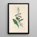 Digitalium monographia Pl04 - John Lindley — framed artwork on a wall