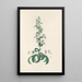Digitalium monographia Pl05 - John Lindley — framed artwork on a wall
