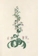 Digitalium monographia Pl05 - John Lindley — artwork view