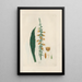Digitalium monographia Pl09 - John Lindley — framed artwork on a wall