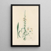 Digitalium monographia Pl16 - John Lindley — framed artwork on a wall